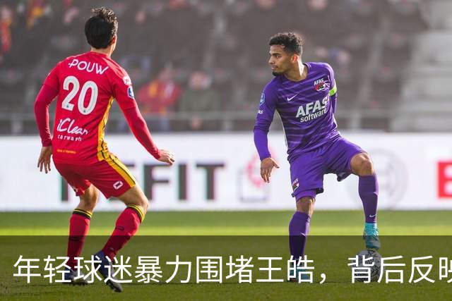 年轻球迷暴力围堵王皓，背后反映体育环境的阴影